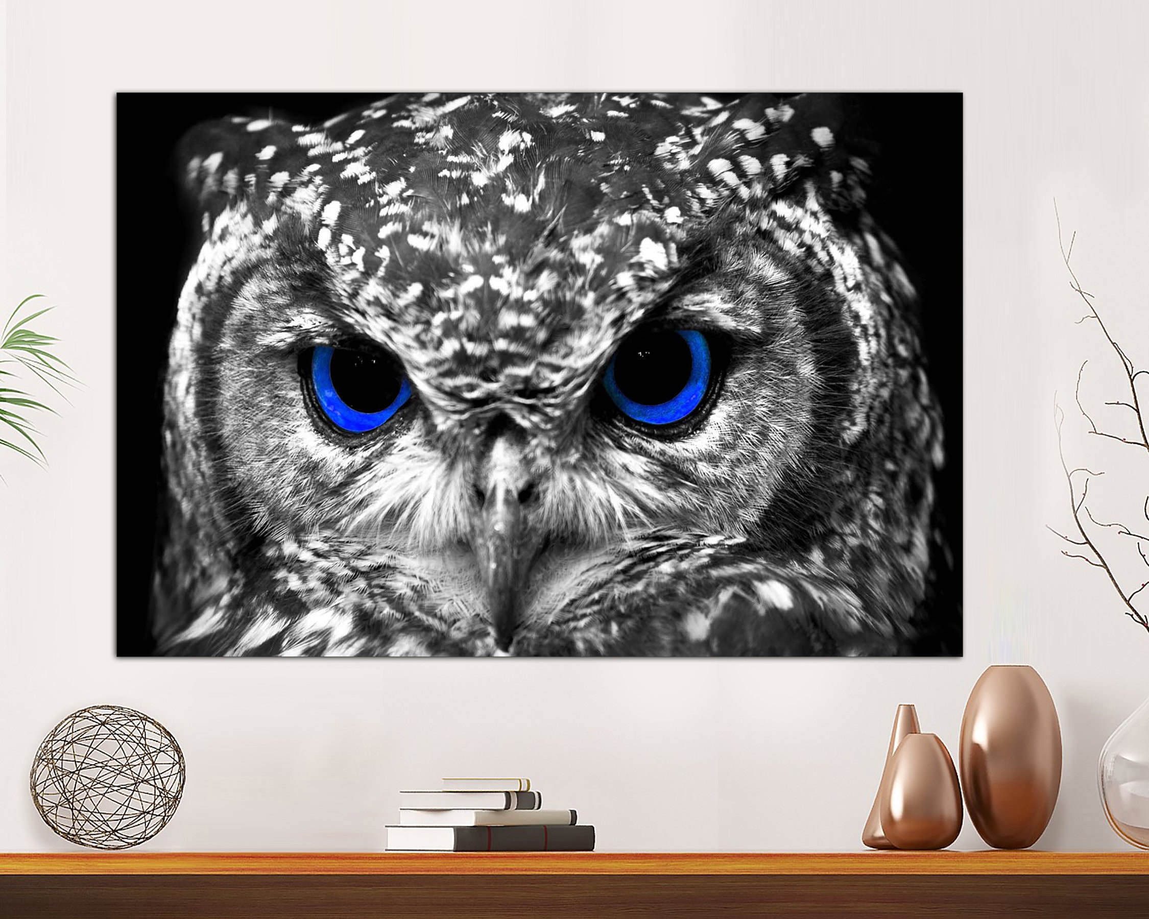 Blue Eyes Owl Canvas Print, Black and White Animal Wall Art - Etsy