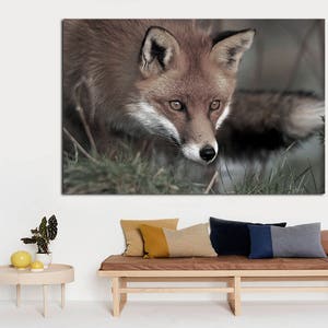 Fox Canvas Print, Fox wall art, Canvas Print. wall art, large canvas wall art, Fox Nursery Decor, Animal Wall Art, Fox, room decor
