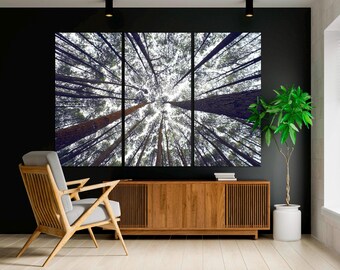 Bamboo Forest Canvas Wall Art, Triptych Panel, Ready to Hang