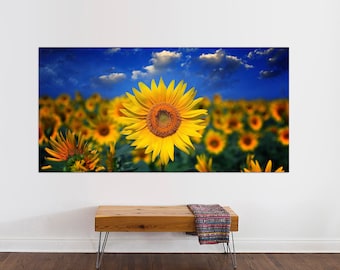 May include: A field of sunflowers in full bloom under a blue sky with white clouds. The sunflowers are bright yellow with dark brown centers.