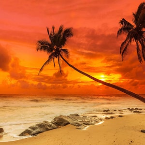 May include: Silhouette of two palm trees on a beach at sunset. The sky is a vibrant orange and red, with clouds in the background. The ocean is a deep blue, with waves crashing on the shore.