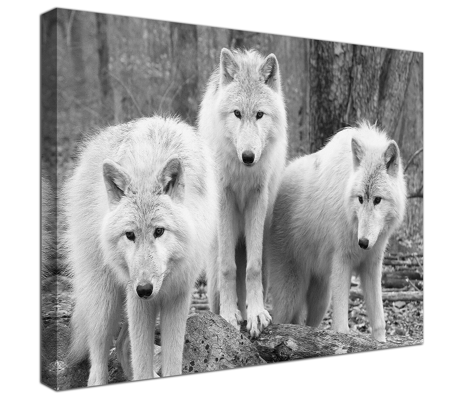 Wolf Art Canvas Framed Wolves Picture Canvas Print Wolf Etsy