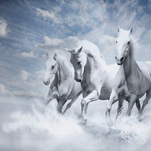 May include: Three white horses running through a misty, cloudy landscape. The horses are running in a line, with the lead horse's head turned towards the viewer.