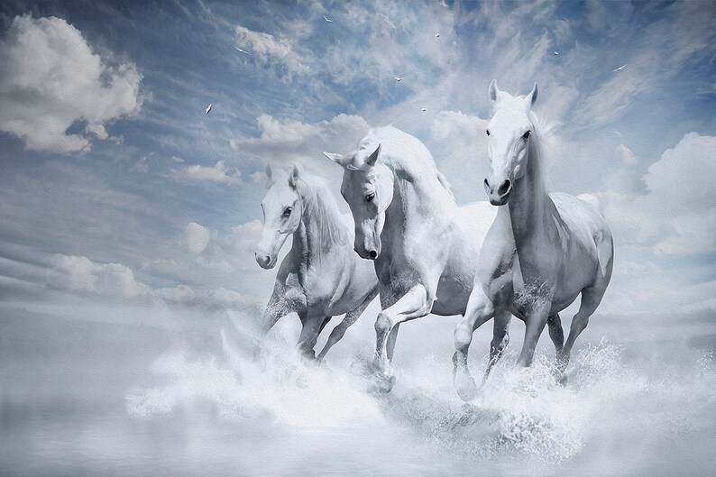 May include: Three white horses running through a misty, cloudy landscape. The horses are running in a line, with the lead horse's head turned towards the viewer.