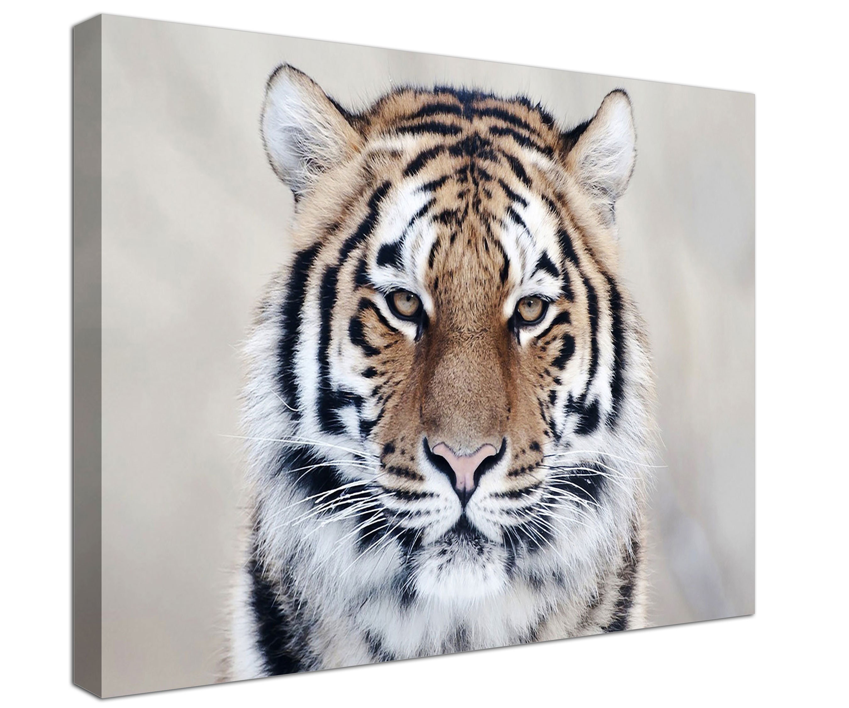 Tiger Print Wall Art Print Prints on Canvas the Face of a Etsy