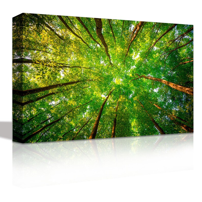 Green Forest Trees Canvas Wall Art Forest Trees Print Etsy