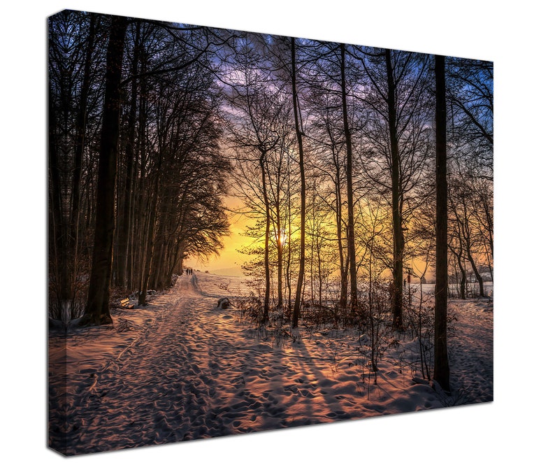 Winter Snow Sunset Forest Canvas Print, Wall Decor - Etsy