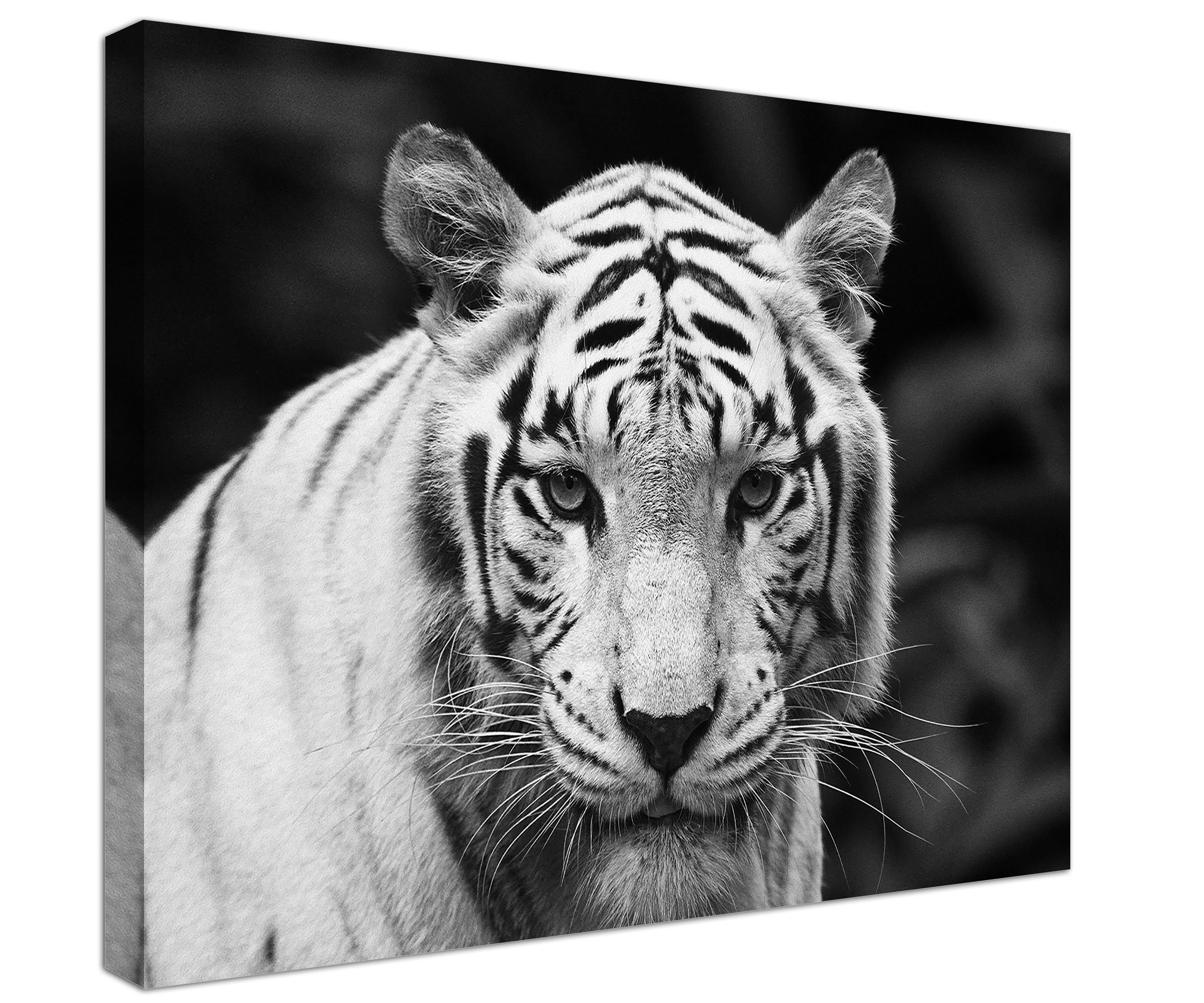 Black and White Tiger Print Wall Art Print Prints on Canvas Etsy