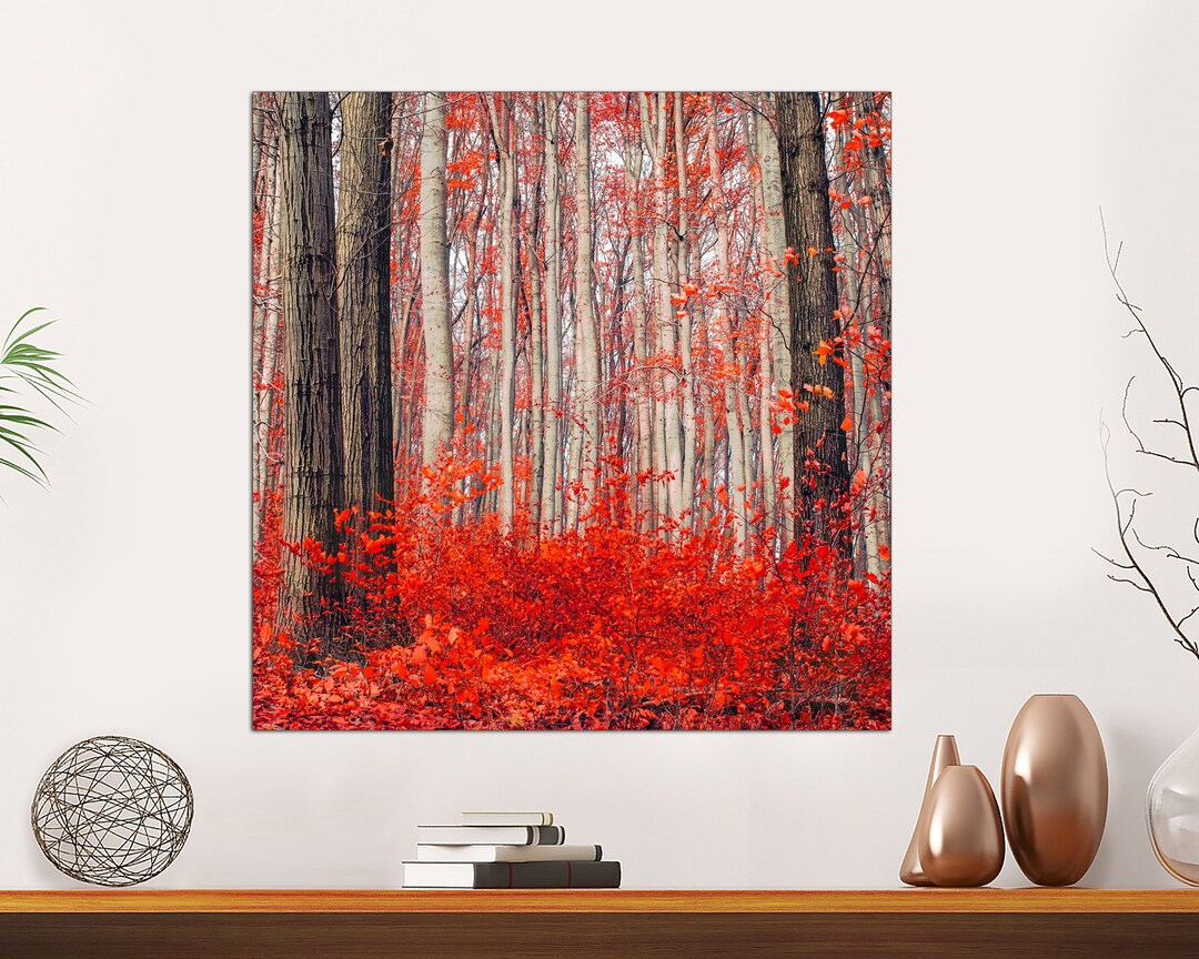 Autumn Red Forest Canvas Print, Ready to Hang - Etsy