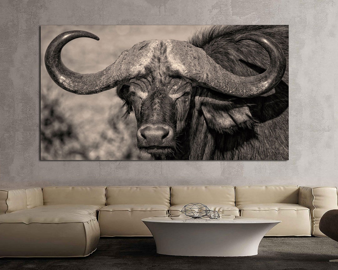 Bull Large Canvas Art Bull Art Decor Wall Art Print Black and White