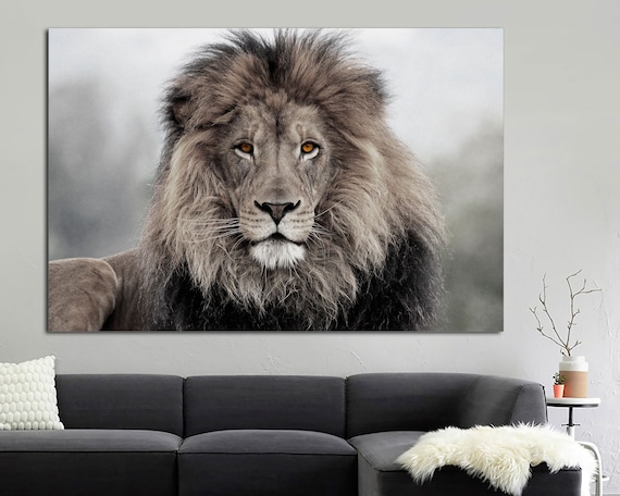 African Lion,  Lion wall art, lion print, Canvas Print.  Lion room art, large lion canvas print, Wall art, Lion canvas print, large canvas.