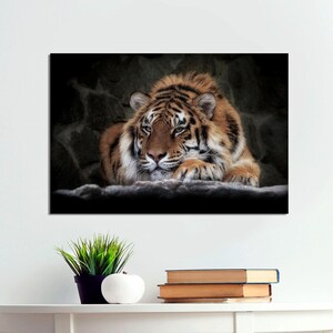 May include: A close-up of a tiger lying down with its head resting on its paws. The tiger has orange and black stripes and is looking at the camera.