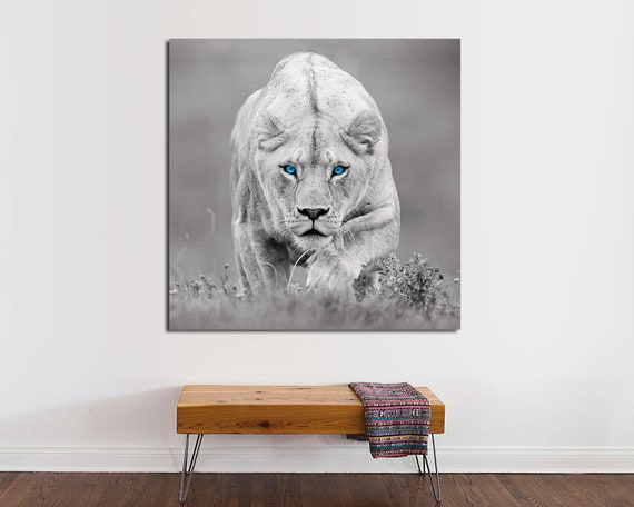 Blue Eyes Lion Canvas Print, Black and White Lion Art, Ready to Hang