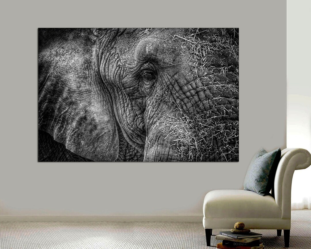 Elephant Print Canvas,elephants Decorations for Living Room Walls,wild