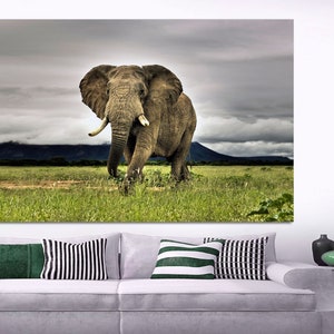 African elephant walking, elephant large canvas  print, Canvas Print. elephant room art,elephant wall art, Wall art, large elephant canvas.