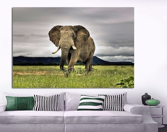 African elephant walking, elephant large canvas  print, Canvas Print. elephant room art,elephant wall art, Wall art, large elephant canvas.