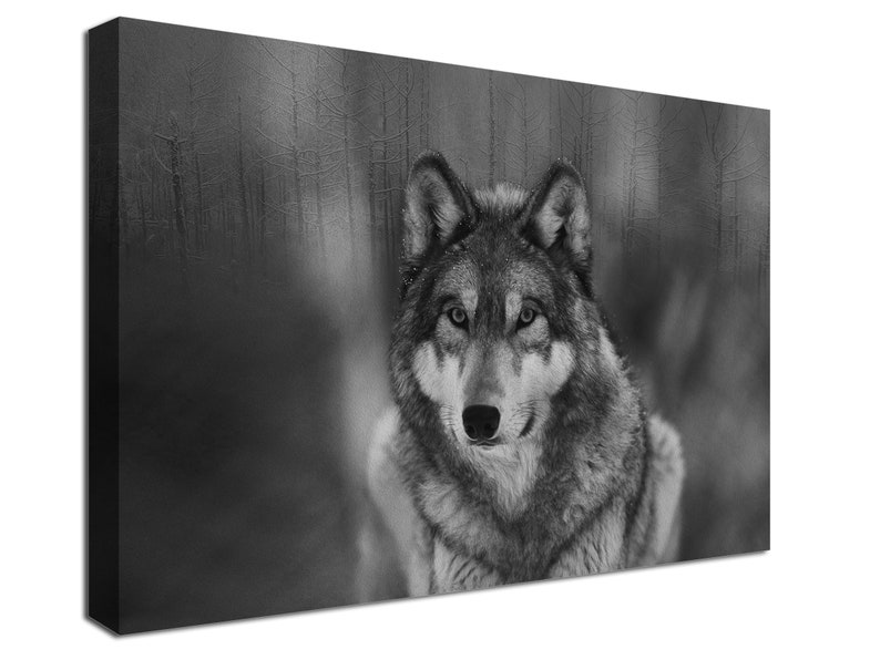 Grey Wolf Canvas Print Wolf Wall Art Canvas Print. Wall Art - Etsy