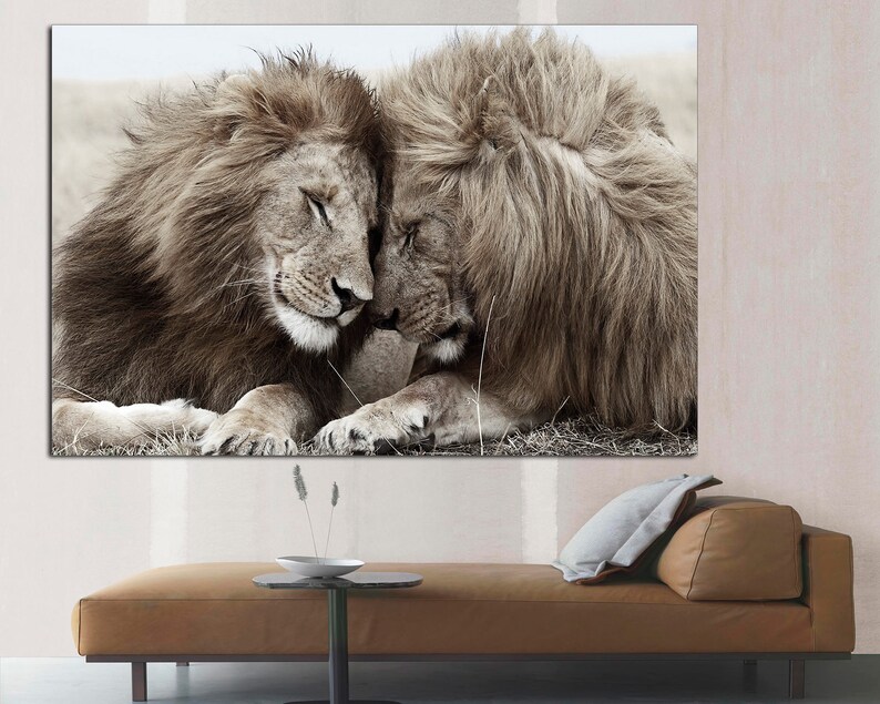 Two lionesses Lion Canvas Print. Lion wall art Lion canvas Etsy.de