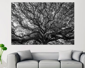 Tree Branches Canvas Print, Ready to Hang, Nature Wall Art