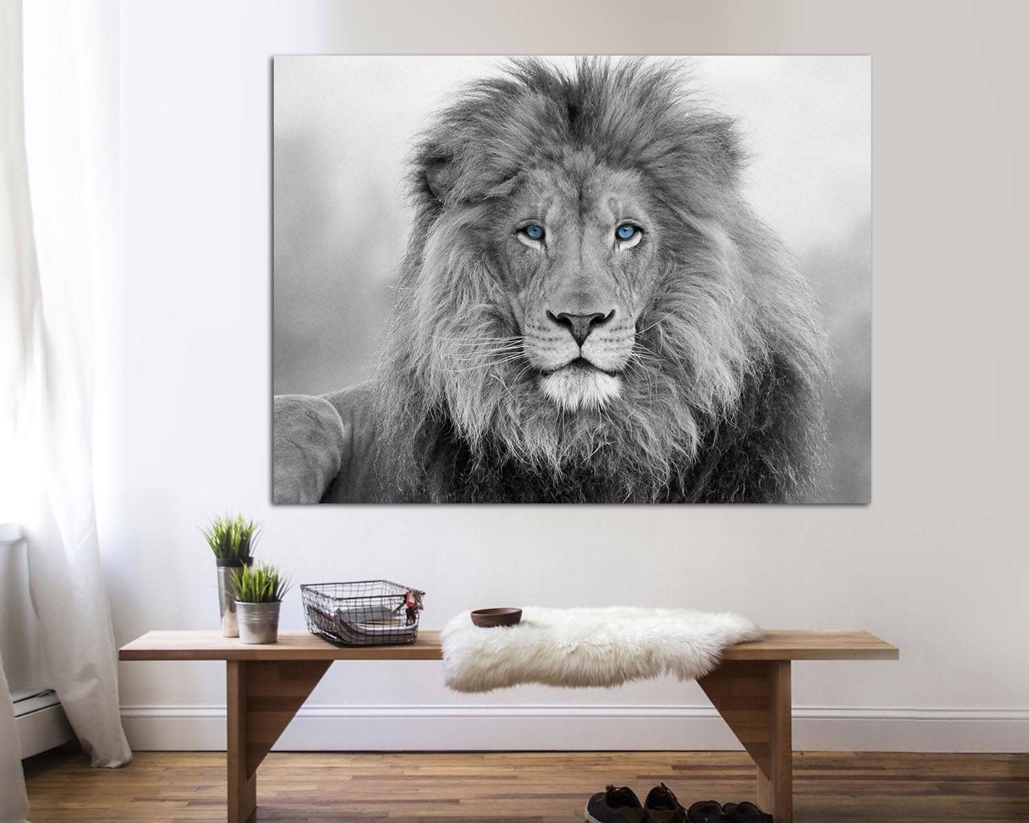 Lion Wall Art, Lion Canvas