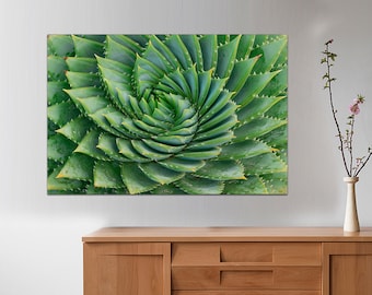 READY to HANG, Succulent canvas, Flower Canvas wall Art Succulent Flowers, Nature wall art, botanic Succulent poster, Plant Cactus flower.