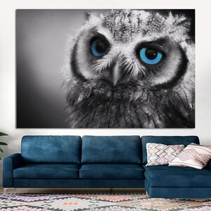 Northern Pygmy Owl Canvas Print, Owl wall art Black and White wall art of colored eyes pigmy bird photography for kitchen, room wall decor.