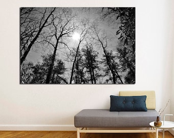 Sunlit Tree Branches Canvas Print, Ready to Hang