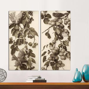Juego de 2 lienzos listos para colgar, albaricoques y cerezas colgantes con pájaros, impresión de arte de pared vintage con pájaros y árboles, arte vintage con pájaros sobre lienzo