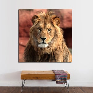 Lion Print on canvas, Lion Wall Art Print, Safari Lion Poster, Animal Print, African Poster, Lion King Poster, African Decor Jungle Animal