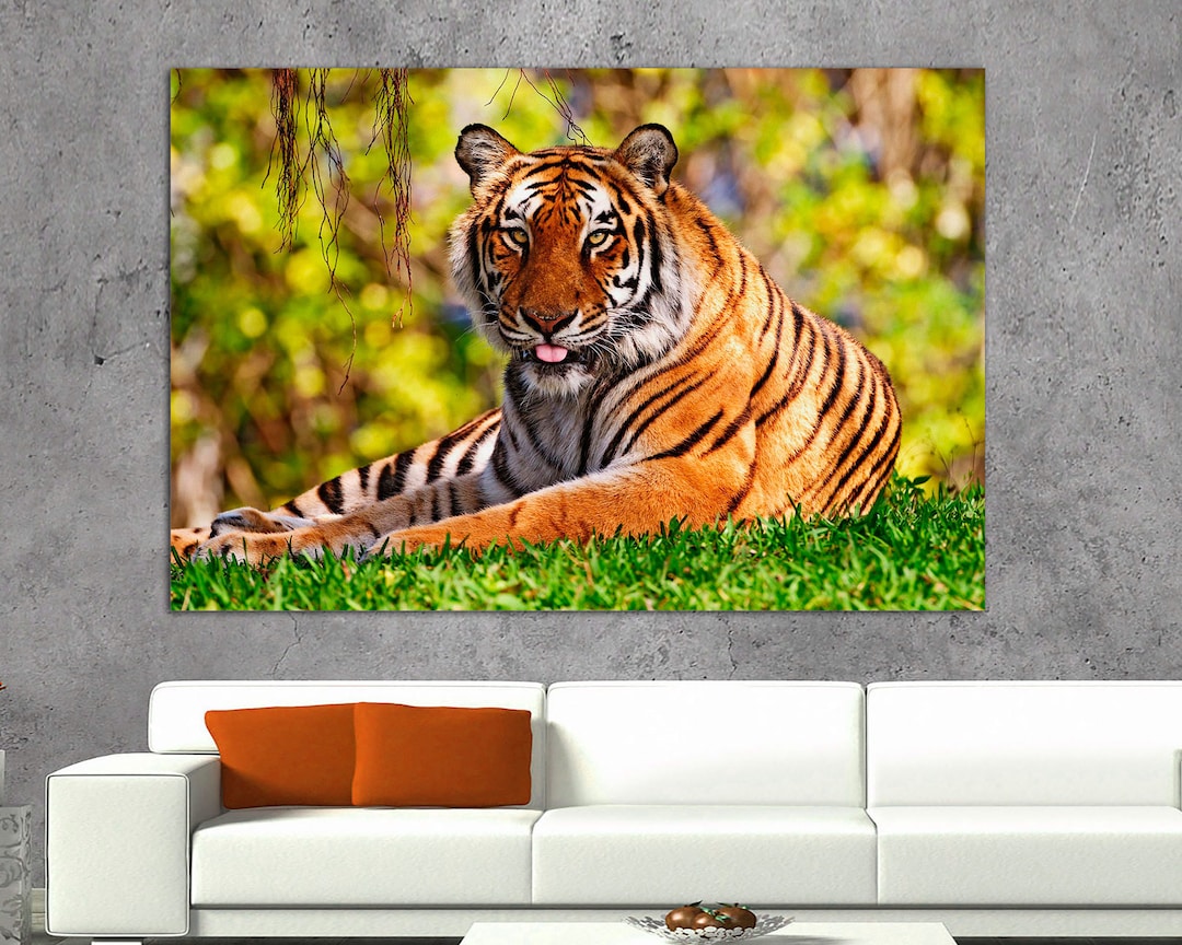 Tiger Print Wall Art Print Prints on Canvas the Face of a Tiger Photo