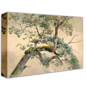 May include: A watercolor painting of a large tree with thick branches and green leaves. The tree is painted against a light beige background.