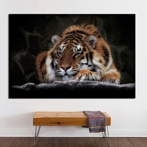 May include: A close-up of a tiger lying down with its head resting on its paws. The tiger has orange and black stripes and is looking directly at the camera.