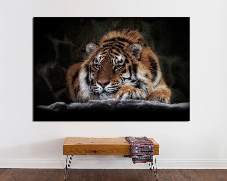 May include: A close-up of a tiger lying down with its head resting on its paws. The tiger has orange and black stripes and is looking directly at the camera.