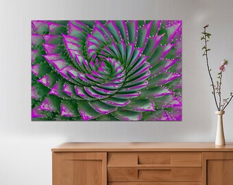 READY to HANG, Succulent canvas, Flower Canvas wall Art Succulent Flowers, Nature wall art, botanic Succulent poster, Plant Cactus flower.