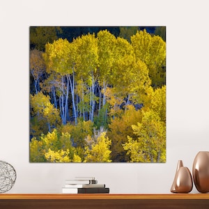 Bosque de álamos otoñales, arte mural panorámico, arte de bosque de abedules otoñales, lienzo de Nevada, impresión en lienzo de bosque, arte en lienzo de naturaleza LISTO PARA COLGAR