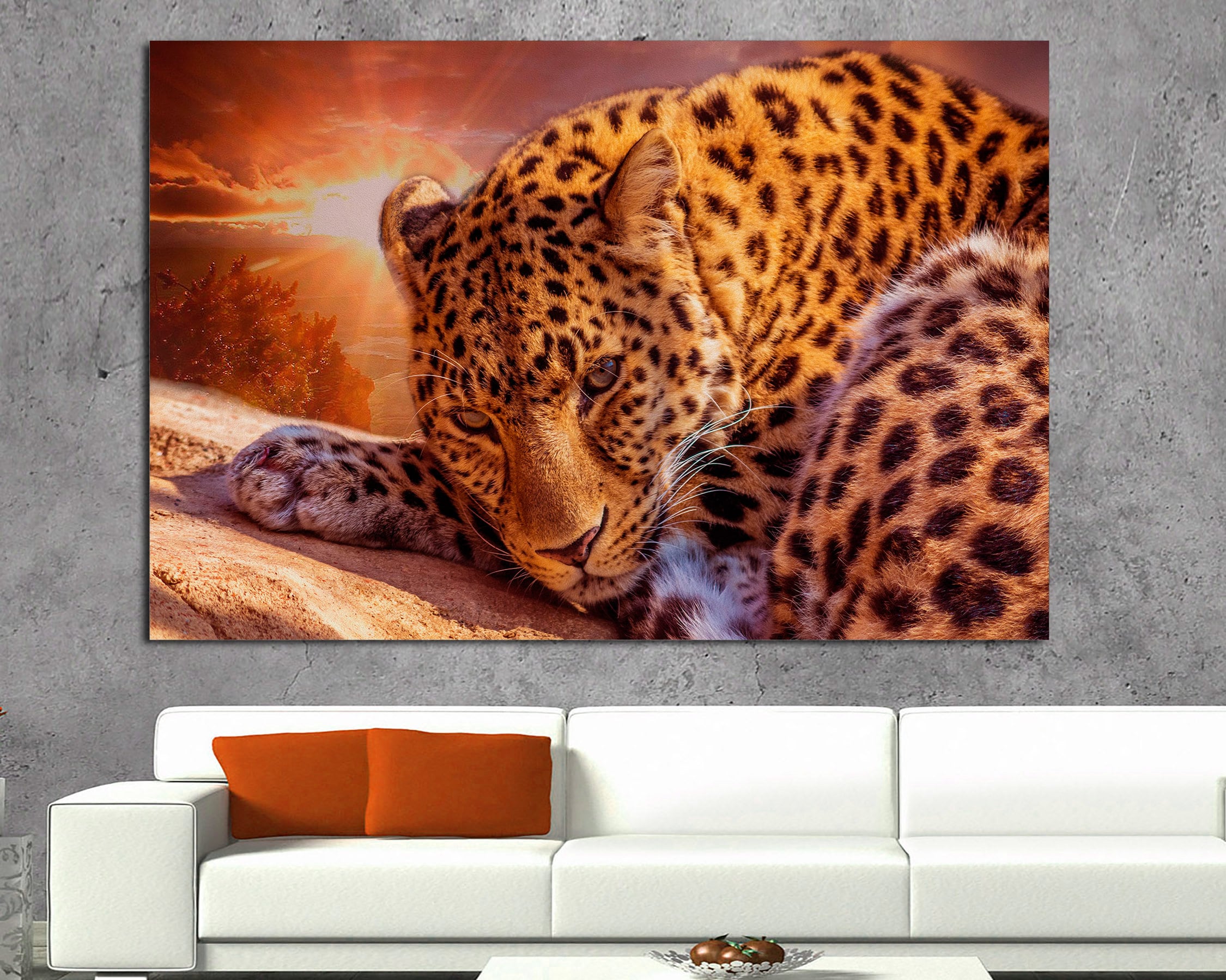 toms leopard print canvas