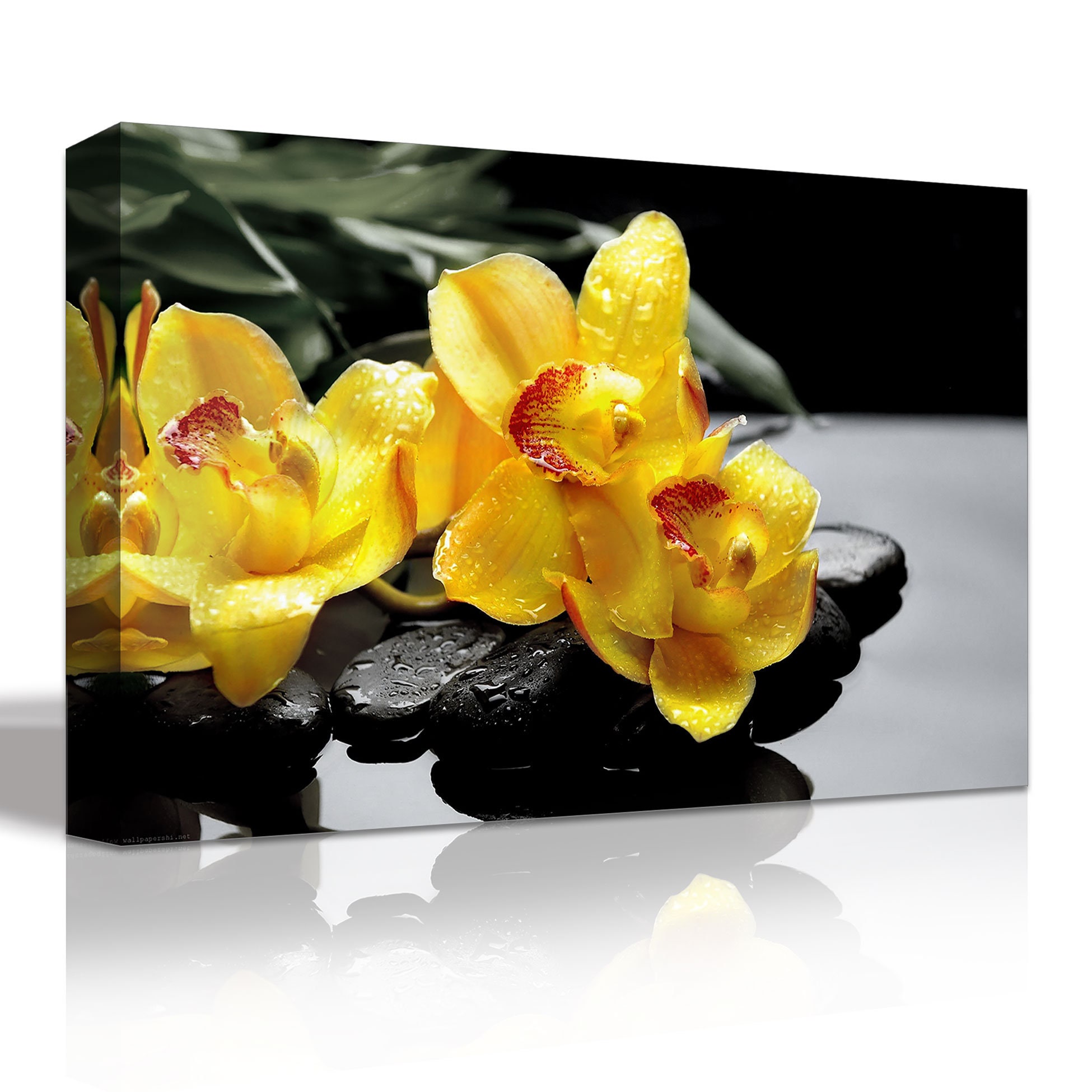 Yellow Orchid Canvas Print, Zen Stone Flower Wall Art - Etsy