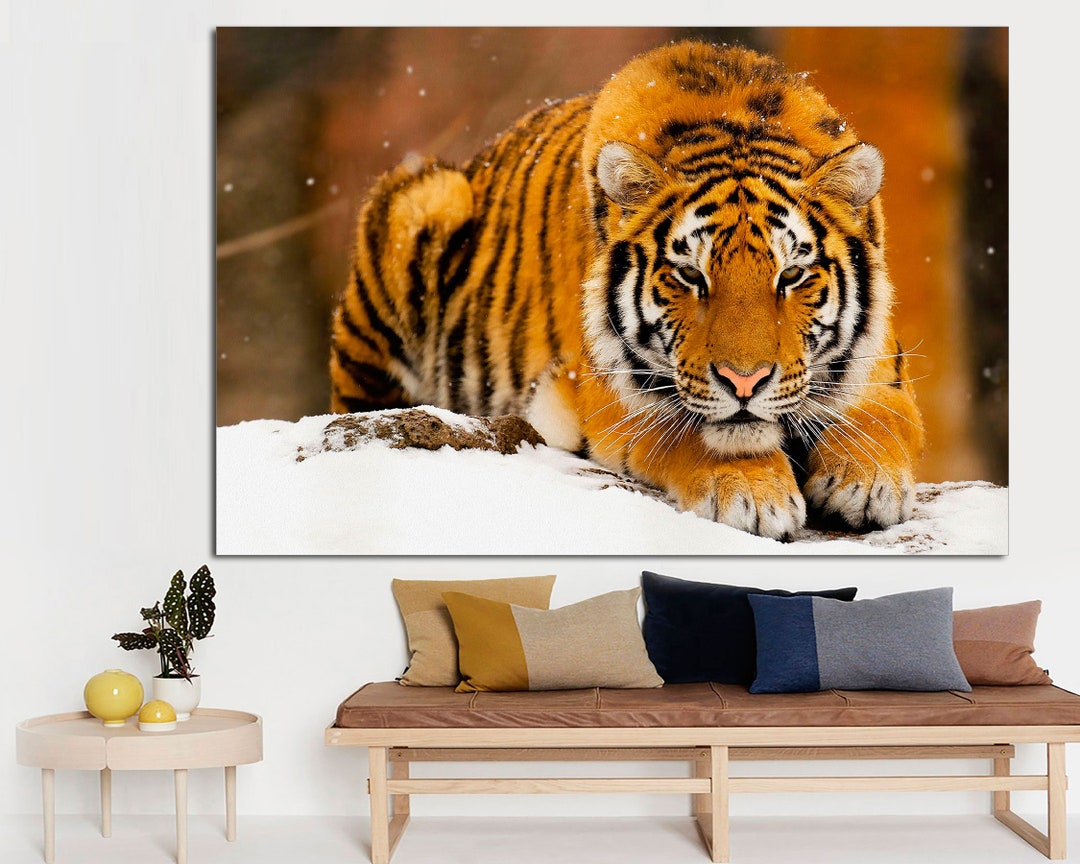 Tiger Print Wall Art Print Prints on Canvas the Face of a Tiger Photo