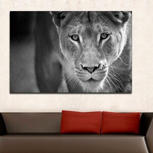 African Lion,  black and white lion print, Canvas Print.  Lion wall art, black and white wall art, Wall art, Lion canvas print, large canvas