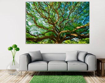 Tree Branches Canvas Print, Sunlight Leaves, Ready to Hang