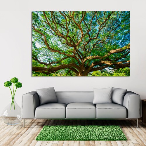 Giant Tree Canopy Canvas Wall Art Design Poster Print Decor - Etsy