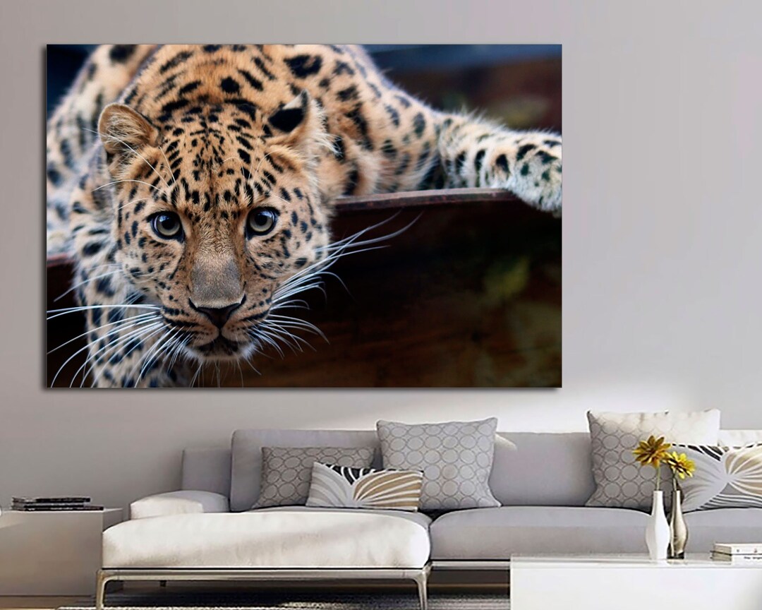 toms leopard print canvas