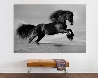 Wild Black Horse Canvas Print, Ready to Hang