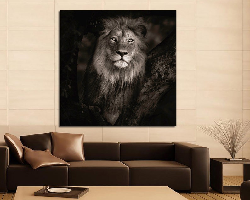 Lion wall art on canvas Ready to hanglion canvas print lion Etsy