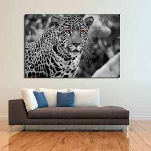 Black and white Leopard, Wildlife Photography Animal Print on  Canvas. Great for home living room, office wall decoration & interior design.