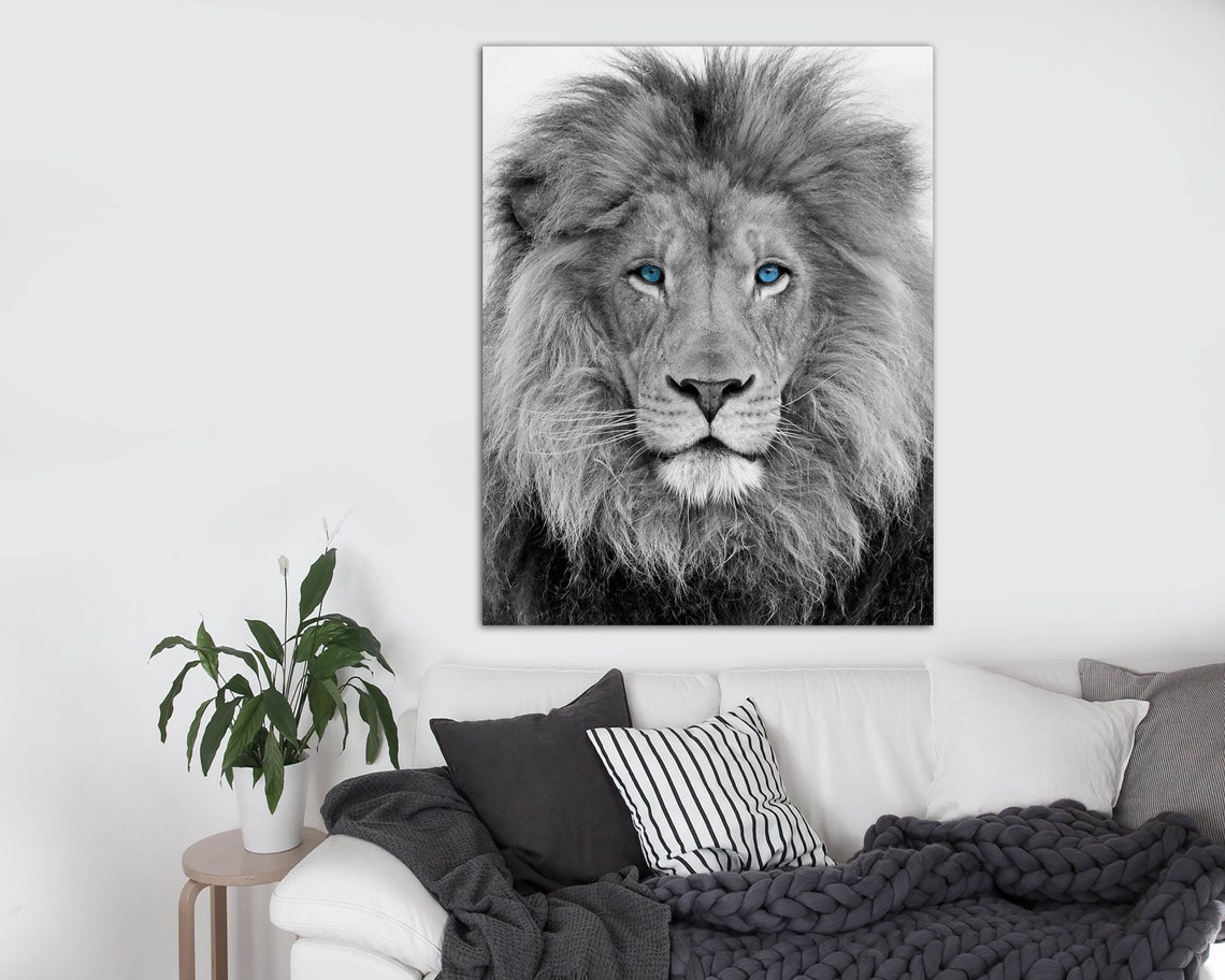 African Lion Black and White Blue Eyes Lion Print Canvas - Etsy