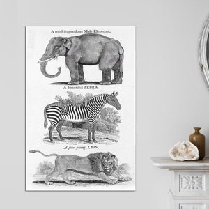 Vintage Reproduction Animal By Thomas Bewick, 1795, Print on Canvas Animal Art Prints, Lion, Zebra, Elephant Canvas Art Print Ready to Hang.