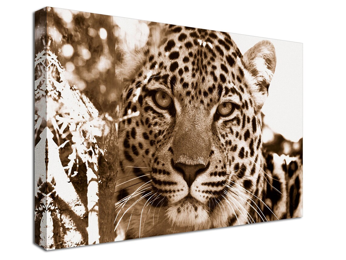Leopard canvas print Leopard Print on Canvas Leopard wall | Etsy