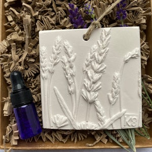 Selection of 3 Little Botanical Bas Relief scent diffusers