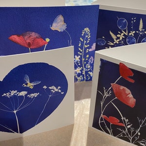 Lot de 4 cartes de vœux, cyanotype, cadeau abordable, papillon, abeille, pavot